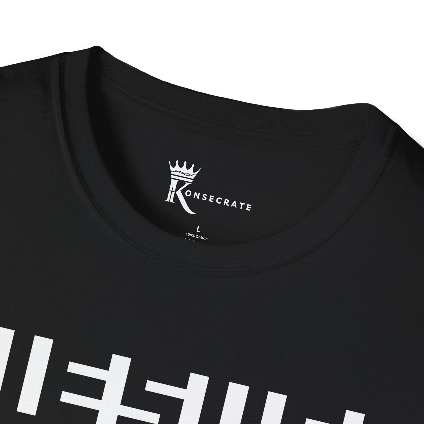 Hidden In Plain Sight T-Shirt – Hidden Gem Collection