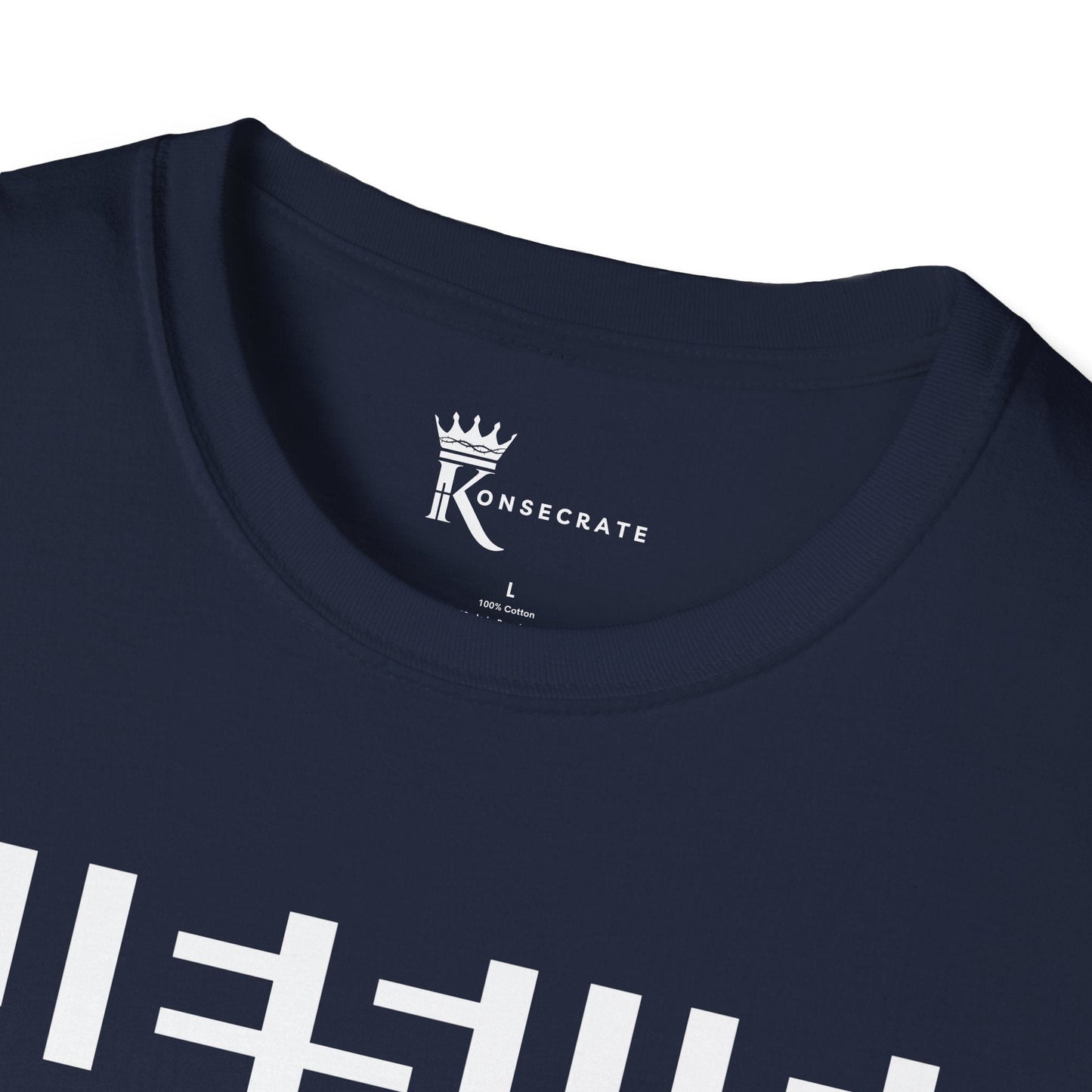 Hidden In Plain Sight T-Shirt – Hidden Gem Collection