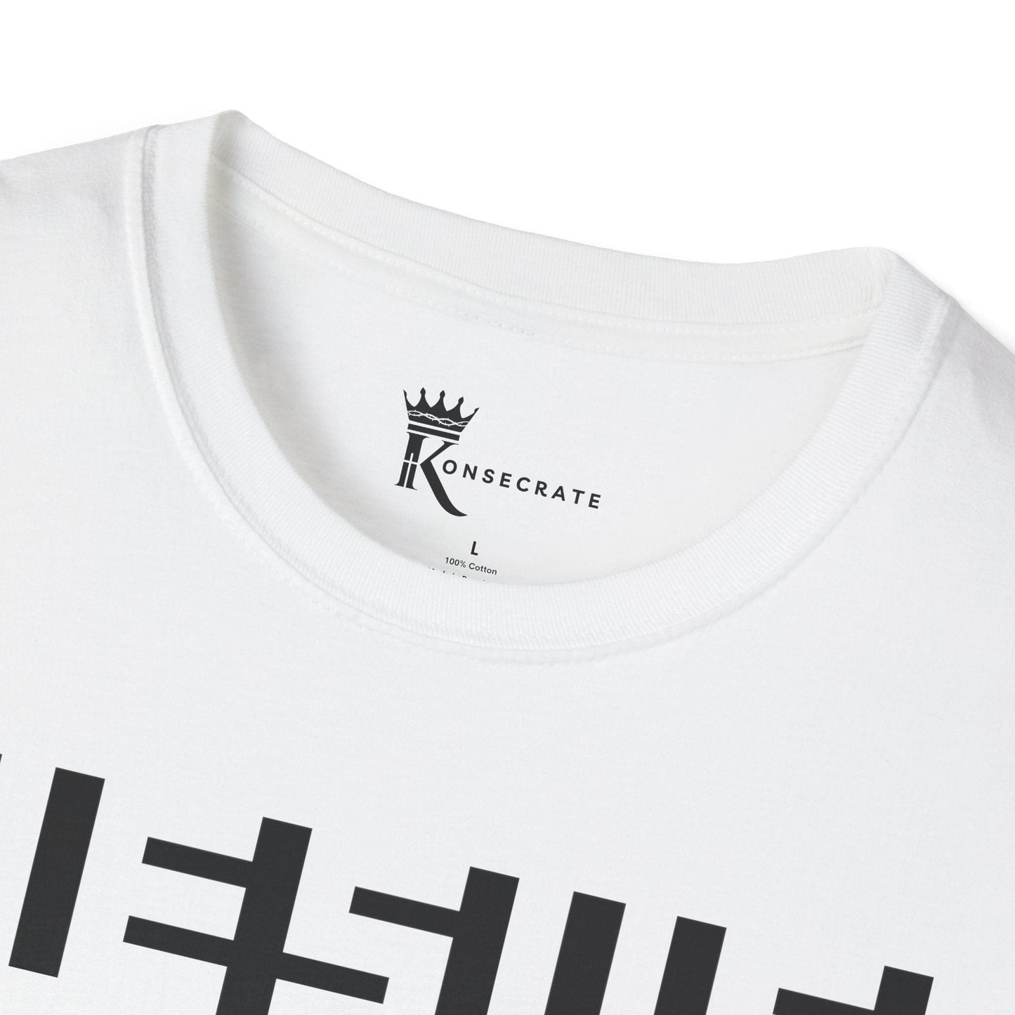 Hidden In Plain Sight T-Shirt – Hidden Gem Collection