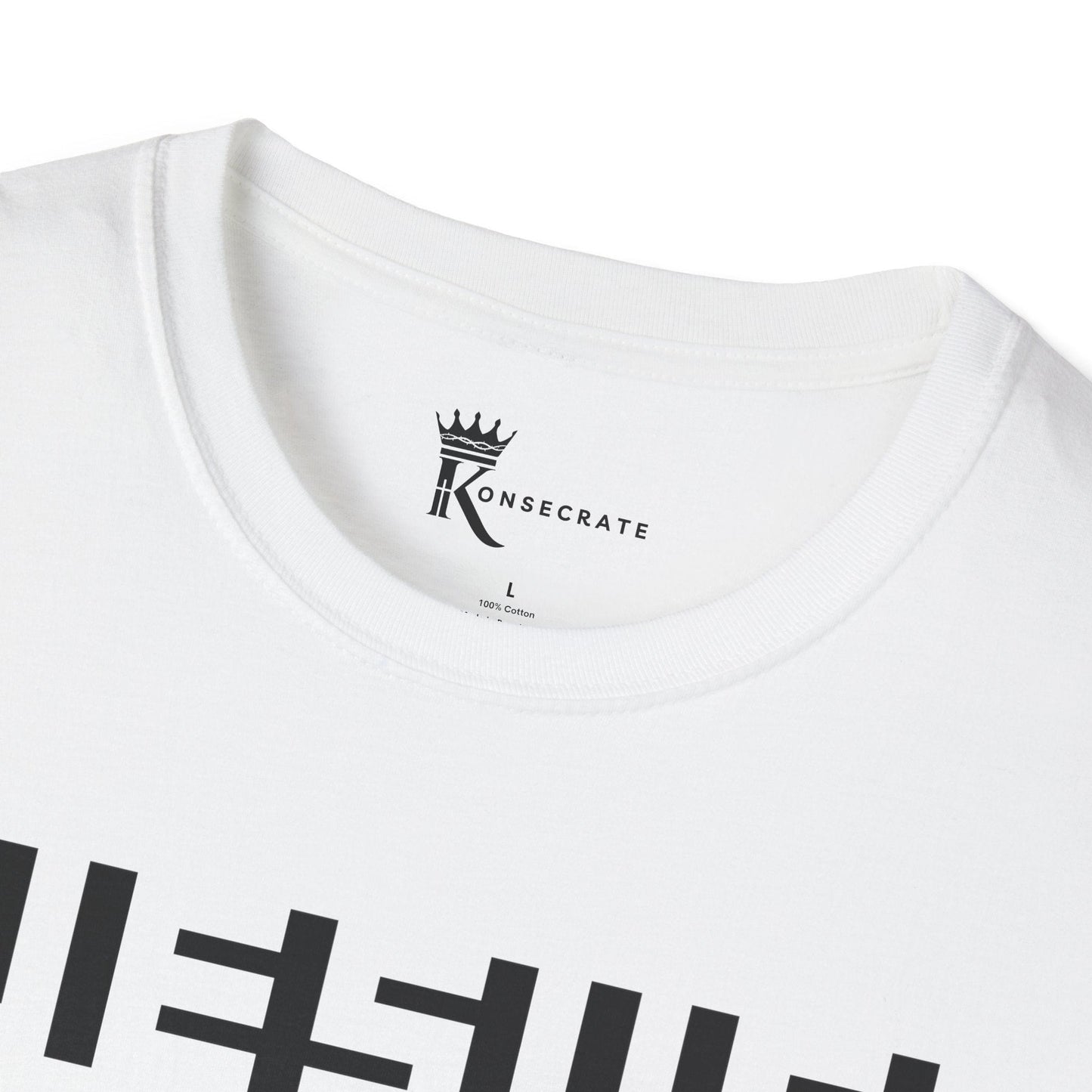 Jesus Hidden In Plain Sight I T-Shirt – Hidden Gem Collection